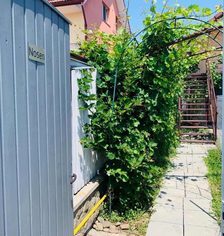 Nosen Apartment Bistrita  Exterior photo